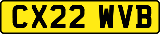 CX22WVB