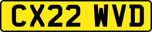 CX22WVD
