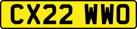 CX22WWO