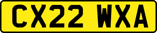 CX22WXA