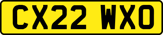 CX22WXO