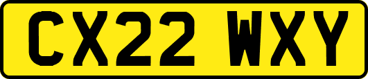 CX22WXY