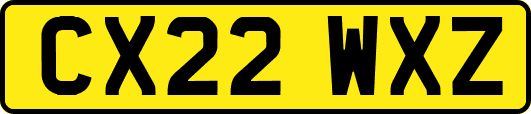 CX22WXZ