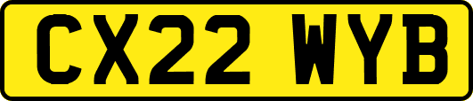 CX22WYB