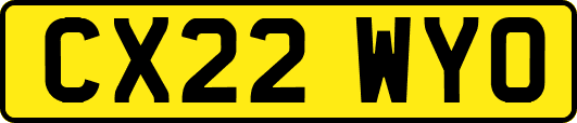CX22WYO