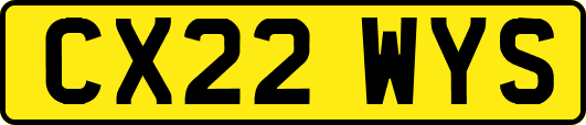CX22WYS