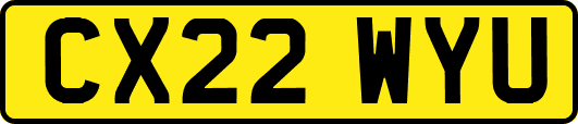 CX22WYU