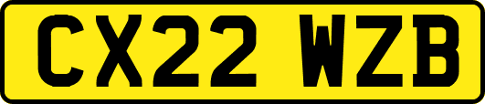 CX22WZB