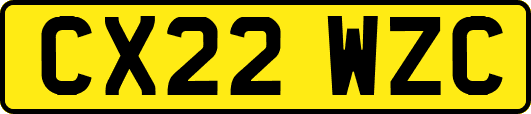 CX22WZC