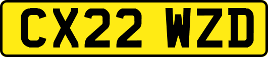 CX22WZD