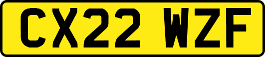 CX22WZF