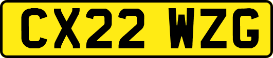 CX22WZG