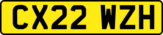 CX22WZH