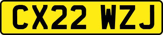 CX22WZJ