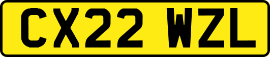 CX22WZL