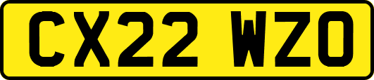 CX22WZO
