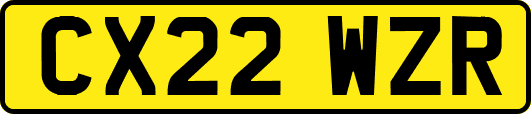 CX22WZR