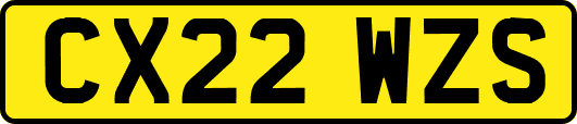 CX22WZS