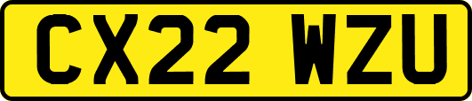 CX22WZU