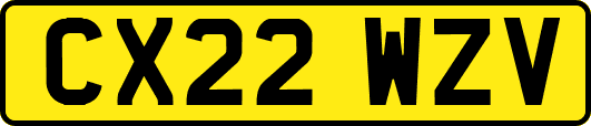 CX22WZV