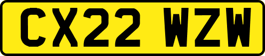CX22WZW