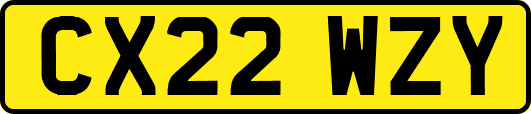 CX22WZY