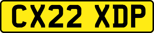 CX22XDP