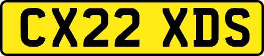 CX22XDS