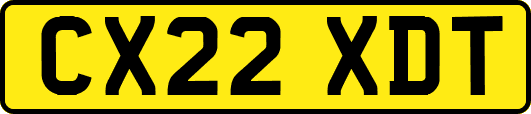 CX22XDT