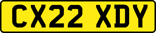 CX22XDY