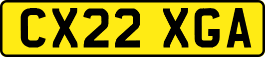 CX22XGA