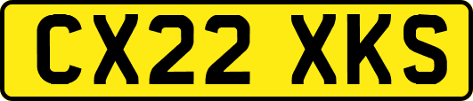 CX22XKS