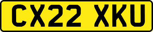 CX22XKU