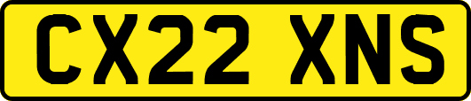CX22XNS