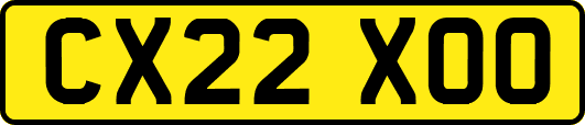 CX22XOO