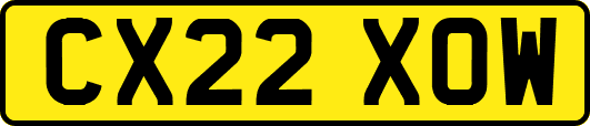 CX22XOW