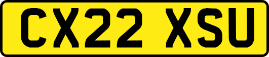 CX22XSU