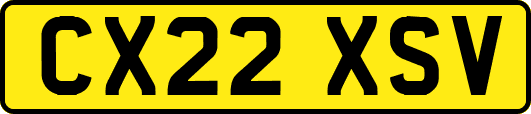 CX22XSV