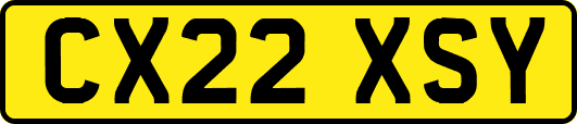 CX22XSY