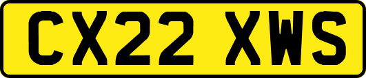 CX22XWS