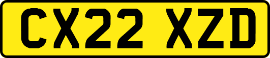 CX22XZD