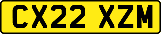 CX22XZM