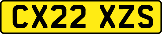 CX22XZS