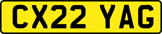 CX22YAG