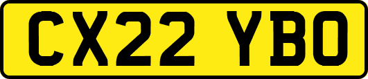 CX22YBO