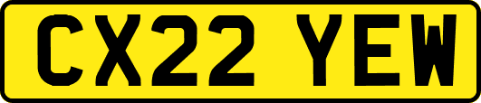 CX22YEW
