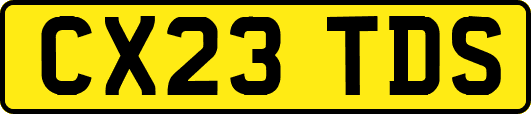 CX23TDS