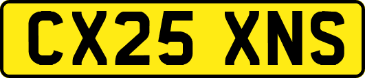 CX25XNS
