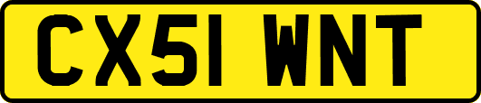 CX51WNT