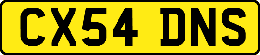 CX54DNS